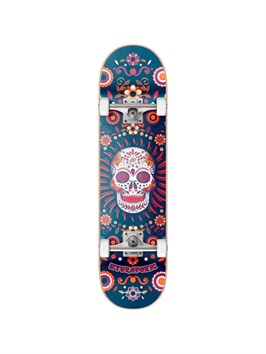 {{productViewItem.photos[photoViewList.activeNavIndex].Alt || productViewItem.photos[photoViewList.activeNavIndex].Description || 'HYDROPONIC Mexican Co 7.75´´ Skateboard'}}