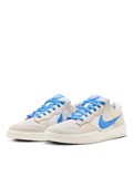 Кроссовки спортивные мужские для активного отдыха Nike SB 195237073764 48607523
