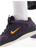 Кроссовки спортивные мужские для скейтбординга Nike Sb Vertebrae 69614570
