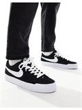 Кроссовки спортивные мужские для скейтбординга Nike SB 196606203522 65462803