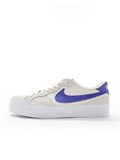 Кроссовки спортивные мужские для скейтбординга Nike Sb 196977597305 69609885