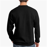 Свитшот «CORE» Standart #GRITLIFE 16569